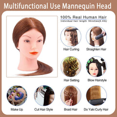 TopDirect mannequin head-colorable-hair demonstrates dyeing and customization in cosmetology training.