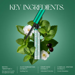 TUDPA packaging box signals vegan, cruelty-free promise and USA testing.