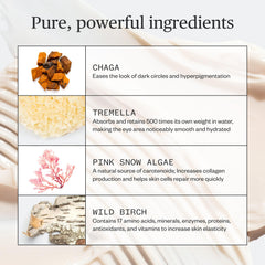 Ursa Major Forest Alchemy Eye Cream application demonstrates gentle dab on clean skin