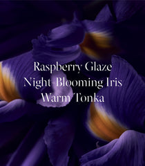 Victoria's Secret Tease Candy Noir Warm Tonka swatch evokes comforting gourmand warmth.