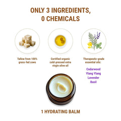 Vintage Tradition olive oil ingredient spotlight emphasizes nourishing oils alongside grass-fed tallow