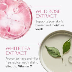 Weleda Smoothing Day Cream in morning routine shot ready before makeup.