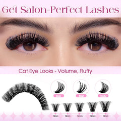 Wendy Lashes 60D clusters for natural daily wear