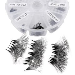 Wendy Lashes premade fans 500-pack for efficient lash extensions.