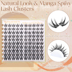 Winifred wispy cluster lashes CC curl 10-16mm for a fuller anime-inspired effect