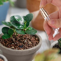 Xthrotsenk 5ml glass bottle close-up showing gold cap