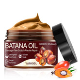 YANKOL Batana oil bottle closeup shows pure, unrefined formula for nourishing hair