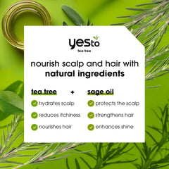 Yes To Tea Tree & Sage Oil Conditioner bottle – hydrating finish for smoother hair.