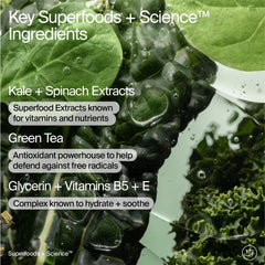 Youth To The People kale-green-tea cleanser closeup shows antioxidant-rich greens.
