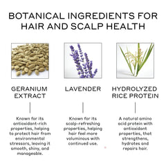 Zenagen Volume Foam on damp hair enables easy styling with lightweight hold.