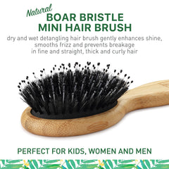 Zollo portable hair brush travel-compact designed for easy carry on the go.