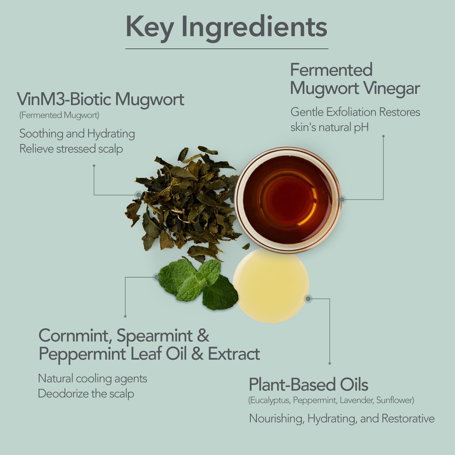 107 Scalp Cooling Breeze Shampoo mugwort vinegar closeup—aged fermentation supports balance.