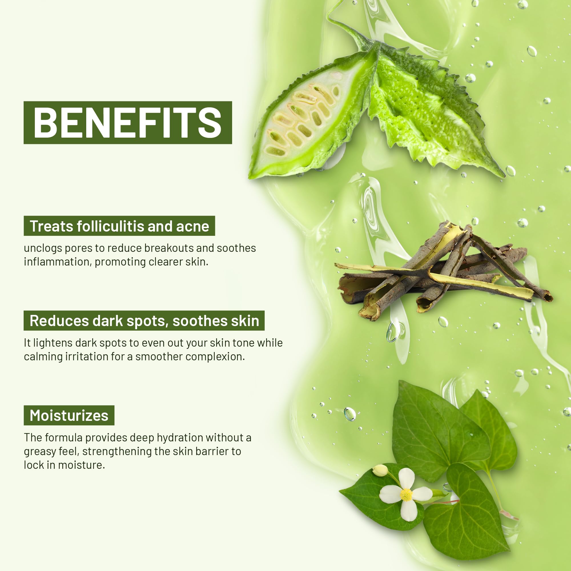 ABERA houttuynia cordata illustration showcasing pore-purifying properties