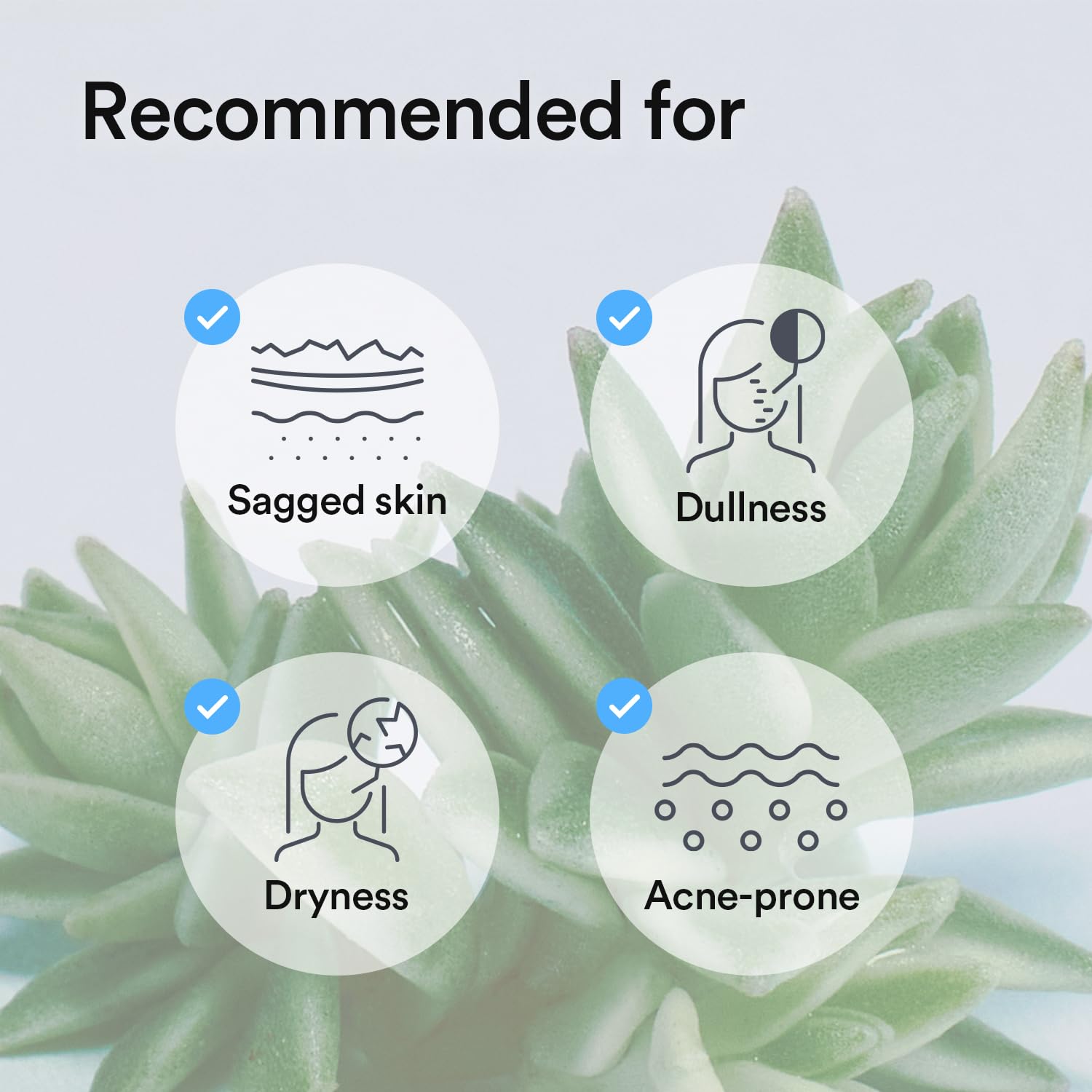 Abib hydrating routine with four sheets offers a quick, refreshing pamper moment.