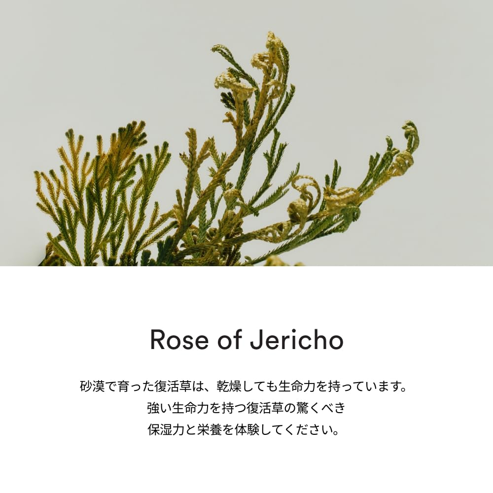 Abib Jericho Rose PHA Toner droplet mist indicates refreshing hydration