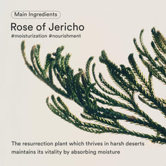 Abib Jericho Rose Serum bottle cap close-up highlighting hypoallergenic design and care.