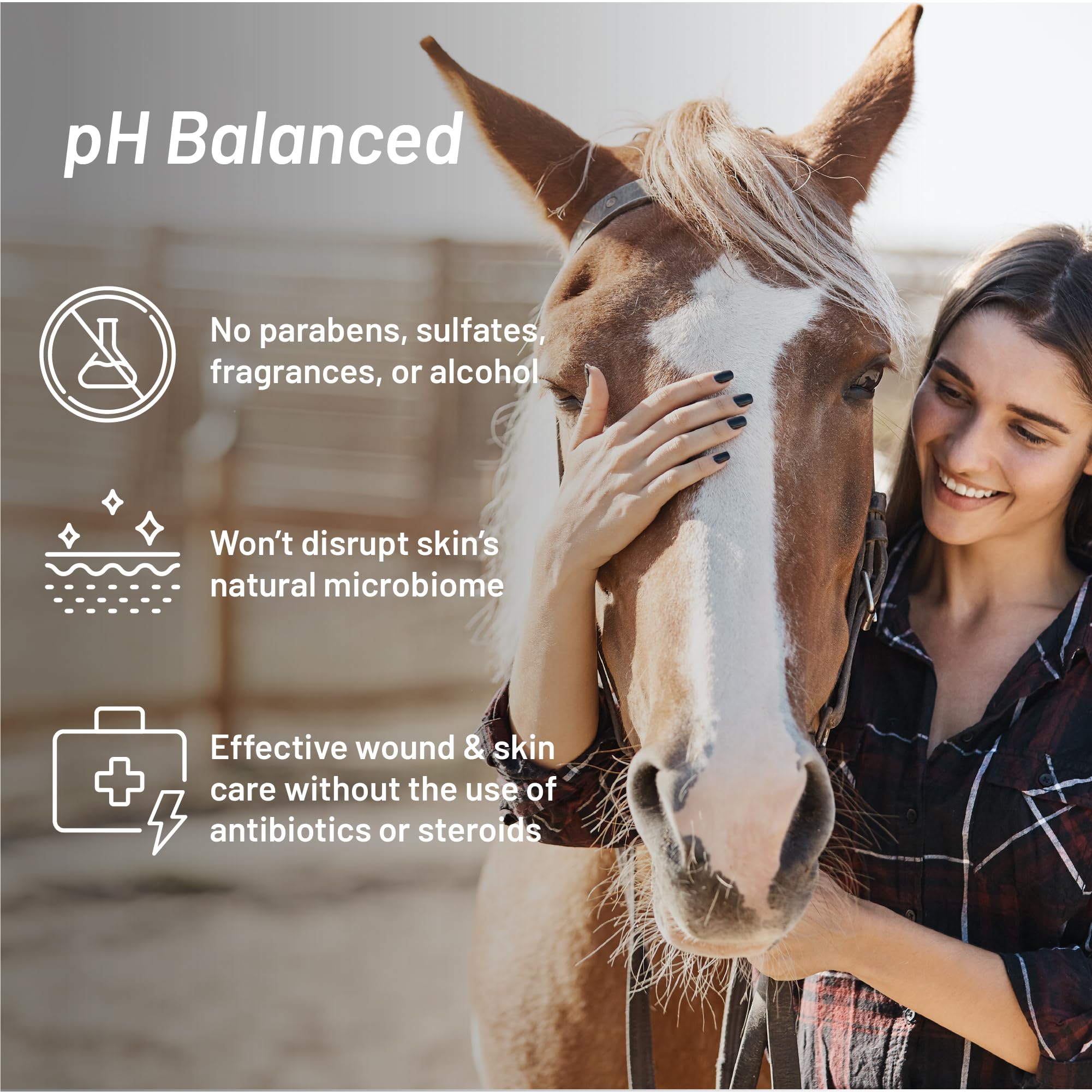 Absorbine Silver Honey Rapid Shampoo horse care scene—safe for use across species.