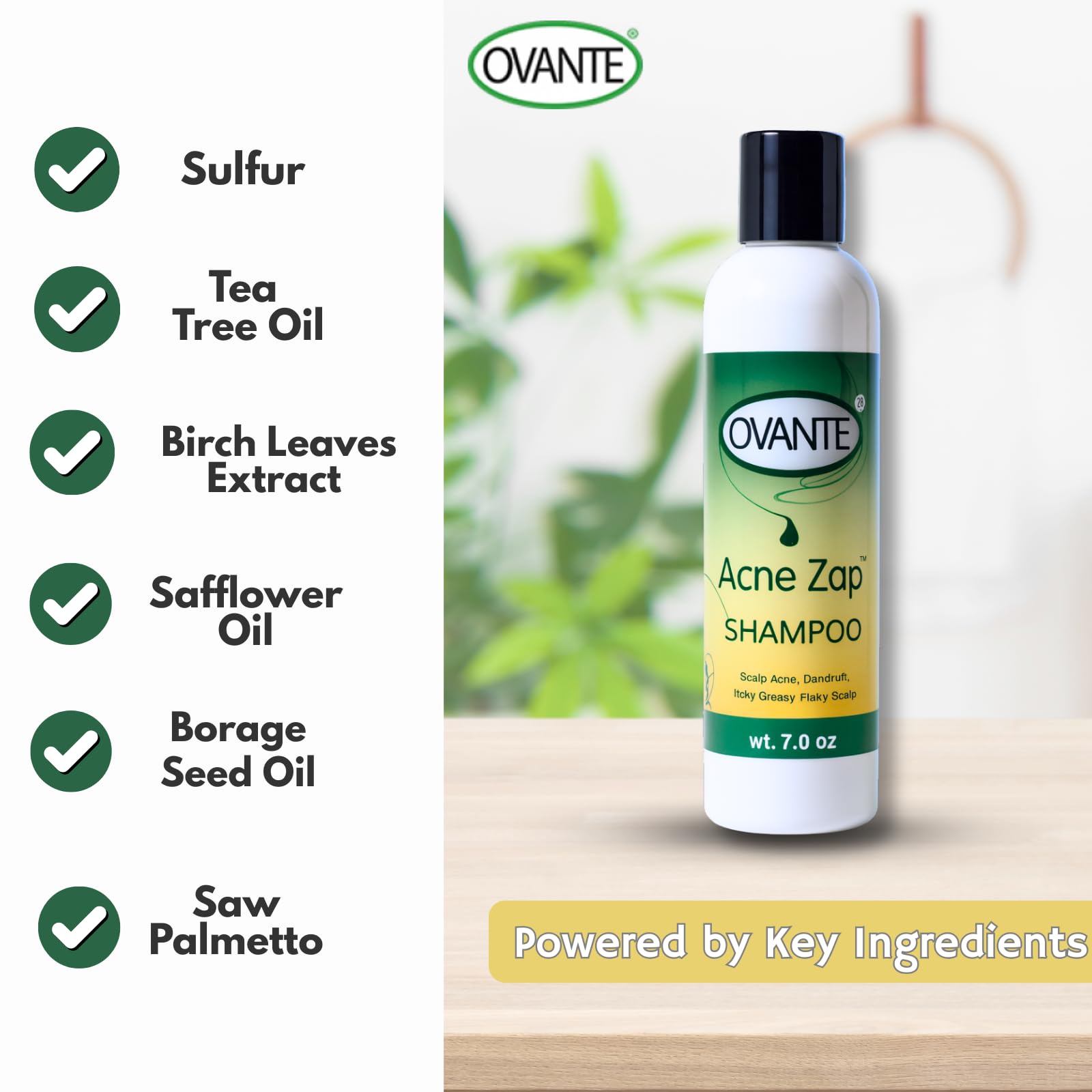 Acne Zap shampoo closeup on scalp shows itch-relief potential