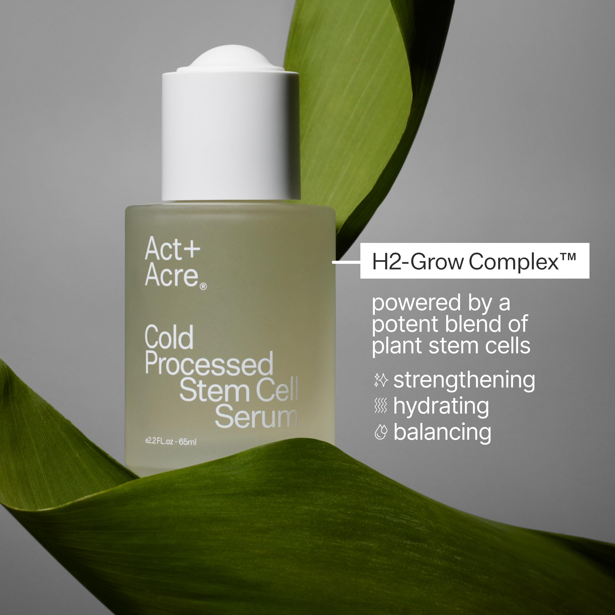 ACT+ACRE stem-cell serum ready for daily scalp care routine.