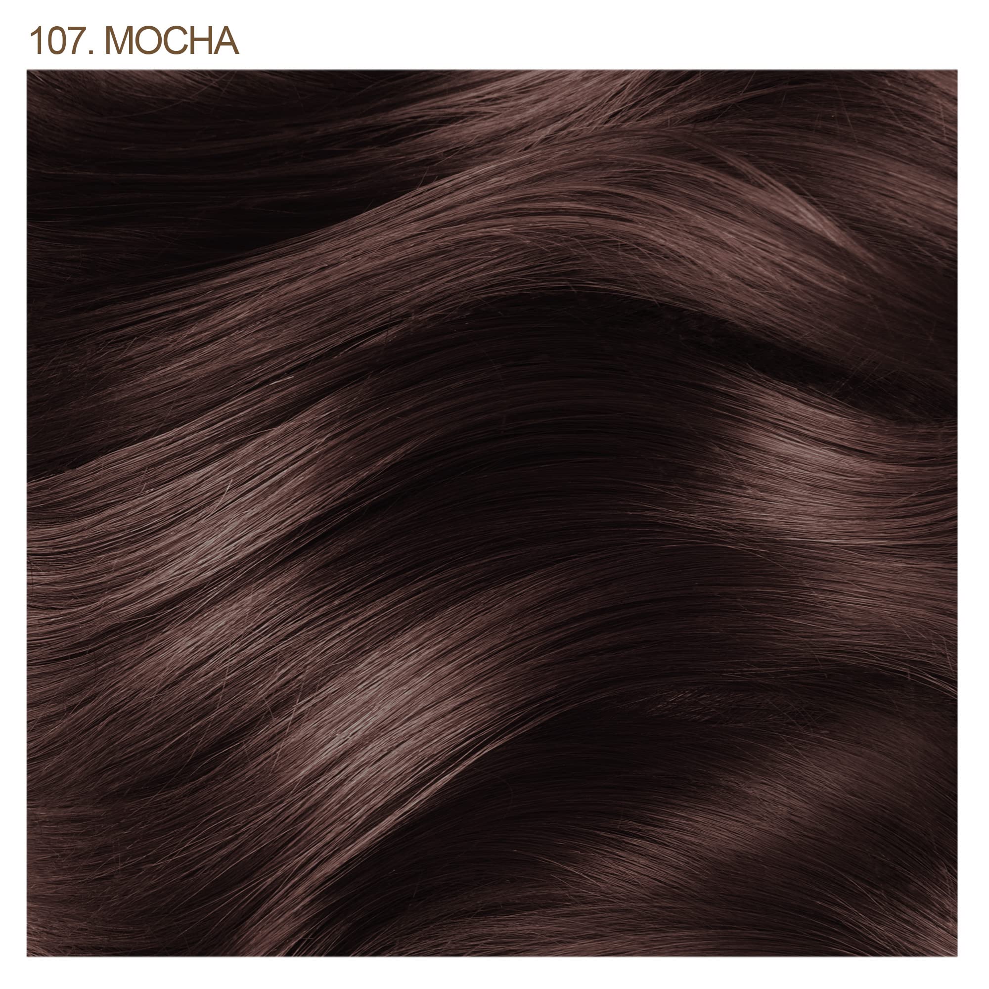 Adore 107 Mocha pack of 2 for convenient home dye results