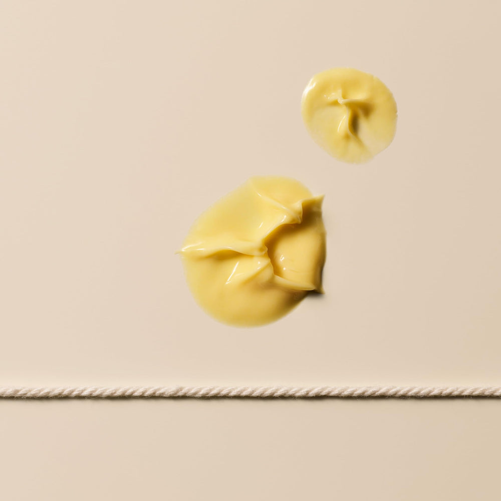 Aesop Camellia Nut Cream packaging with recycled plastic bottles supports sustainability