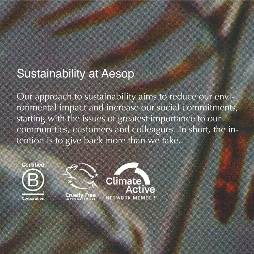 Aesop Cedar & Citrus Lip Balm usage closeup showing everyday carry and quick reapplication