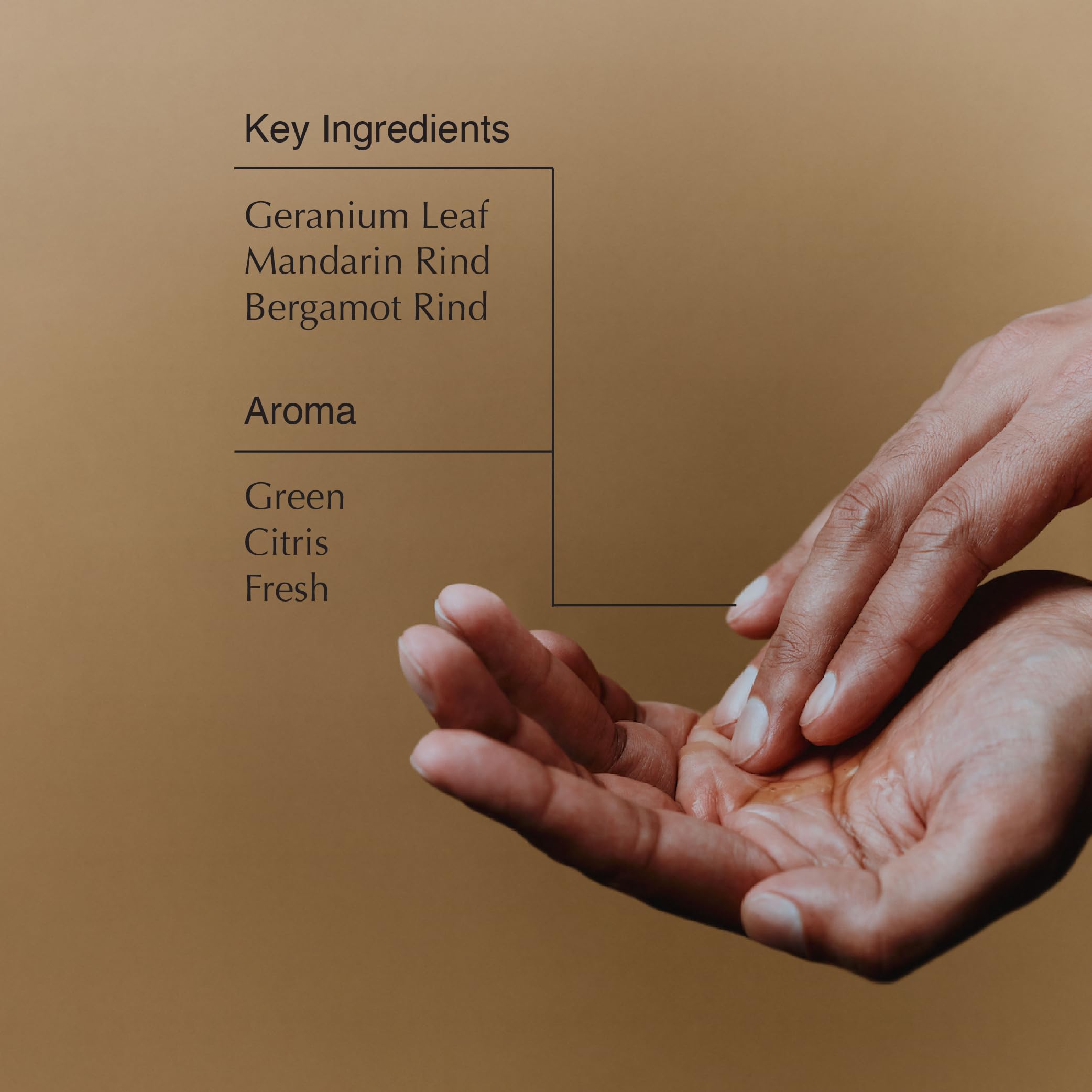 Aesop Geranium Leaf Body Cleanser refill foamy lather shows refreshing cleanse