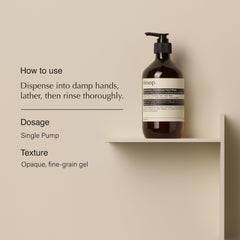Aesop Reverence Aromatique Hand Wash pumice detail highlighting gentle exfoliation