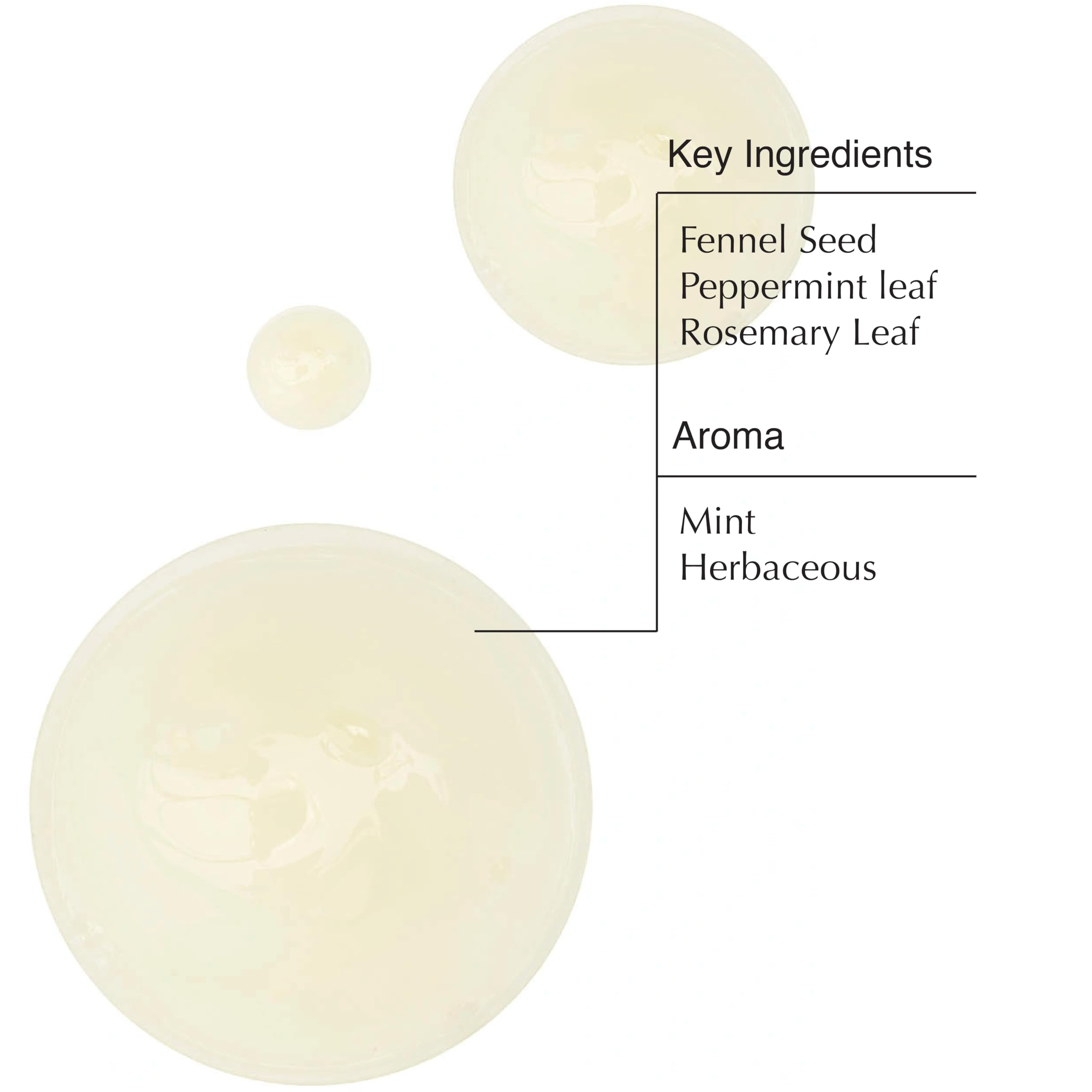 Aesop Volumizing Shampoo pour-in-hand illustrating minty wash experience