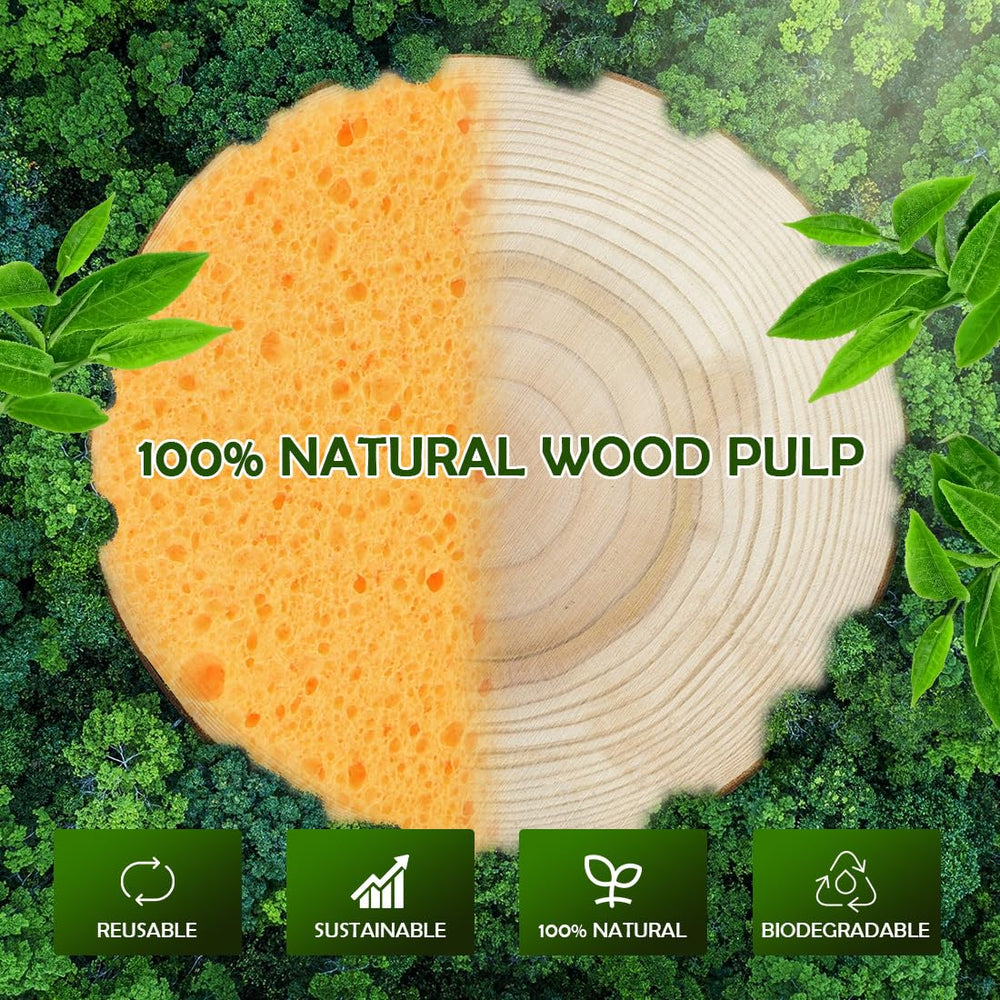 AIDEA natural cellulose sponges highlight plant-based renewable beauty materials.