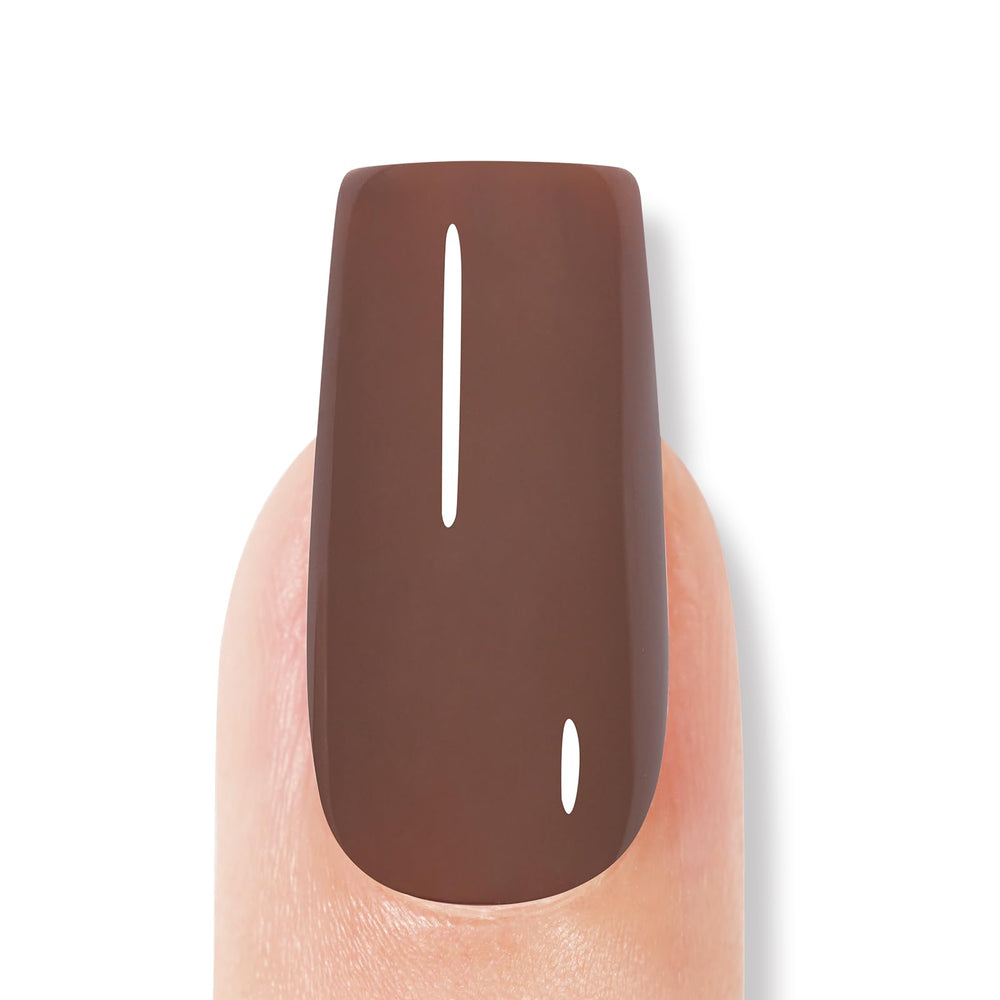 AILLSA Brown Gel Nail Polish gift pack idea for holiday gifting