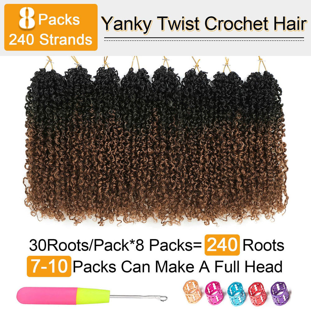 Aksice curly Senegalese micro twist adds depth and dimension