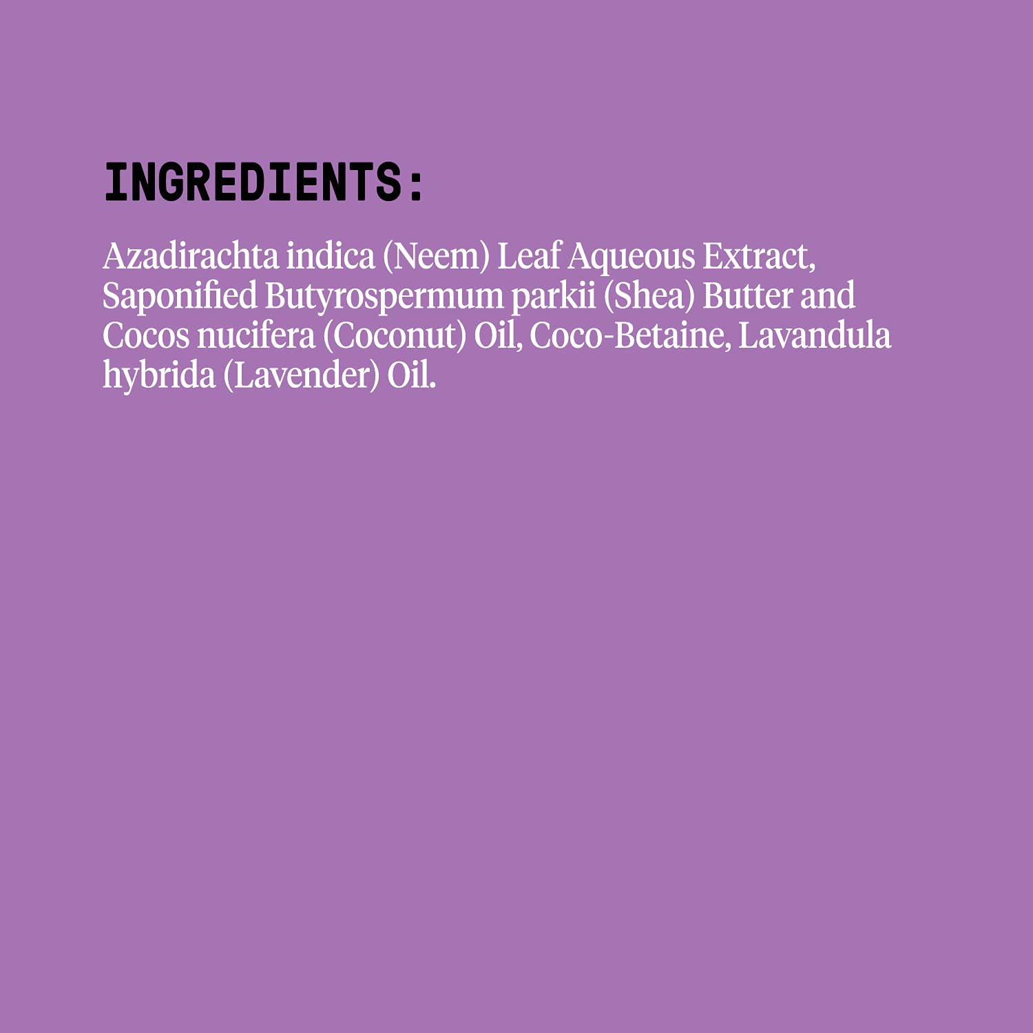 Alaffia Lavender scent bottle—calming, spa-like shower experience.