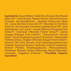 Alba Botanica More Moisture Coconut Milk conditioner packaging varies in design.