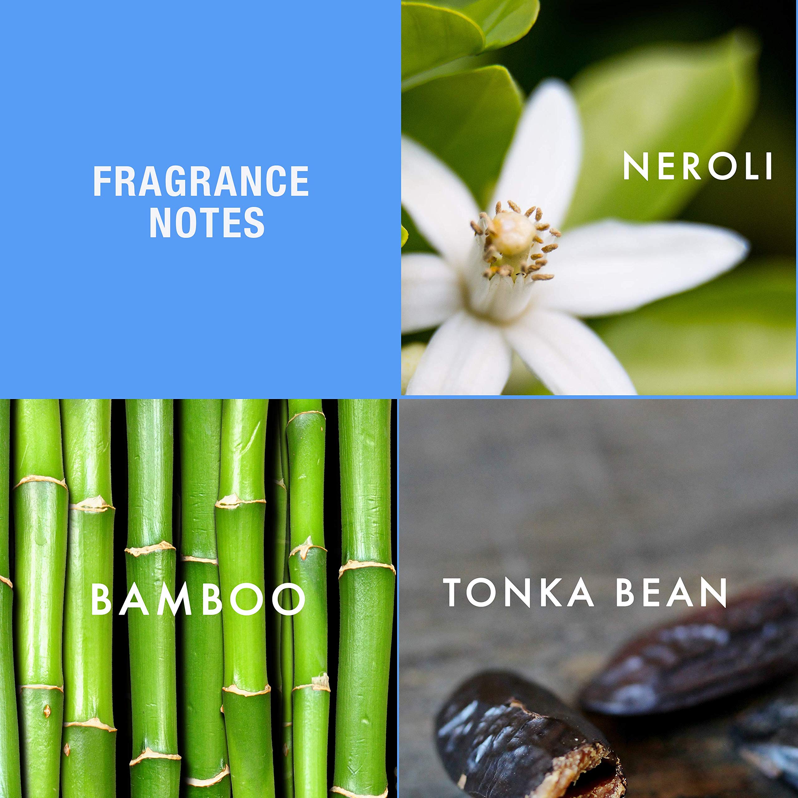 Alfred Sung HEI bamboo neroli tonka notes create uplifting freshness.
