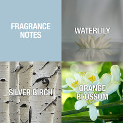 Alfred Sung Shi EDP packaging presented as a refined gift.