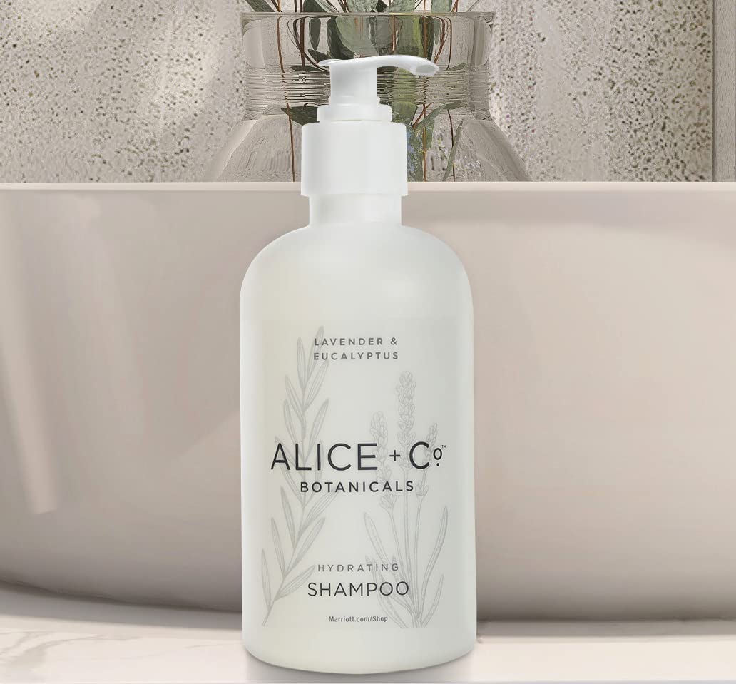 Alice + Co. Hair care set packaging showing two 8.5 oz bottles.