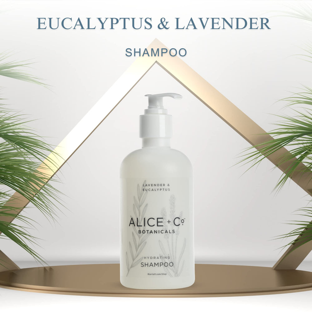 Alice + Co. spa-like routine scene suggests a calming morning hair care ritual.