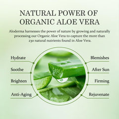 Aloderma Aloe Gel lightweight hydration improving skin balance.