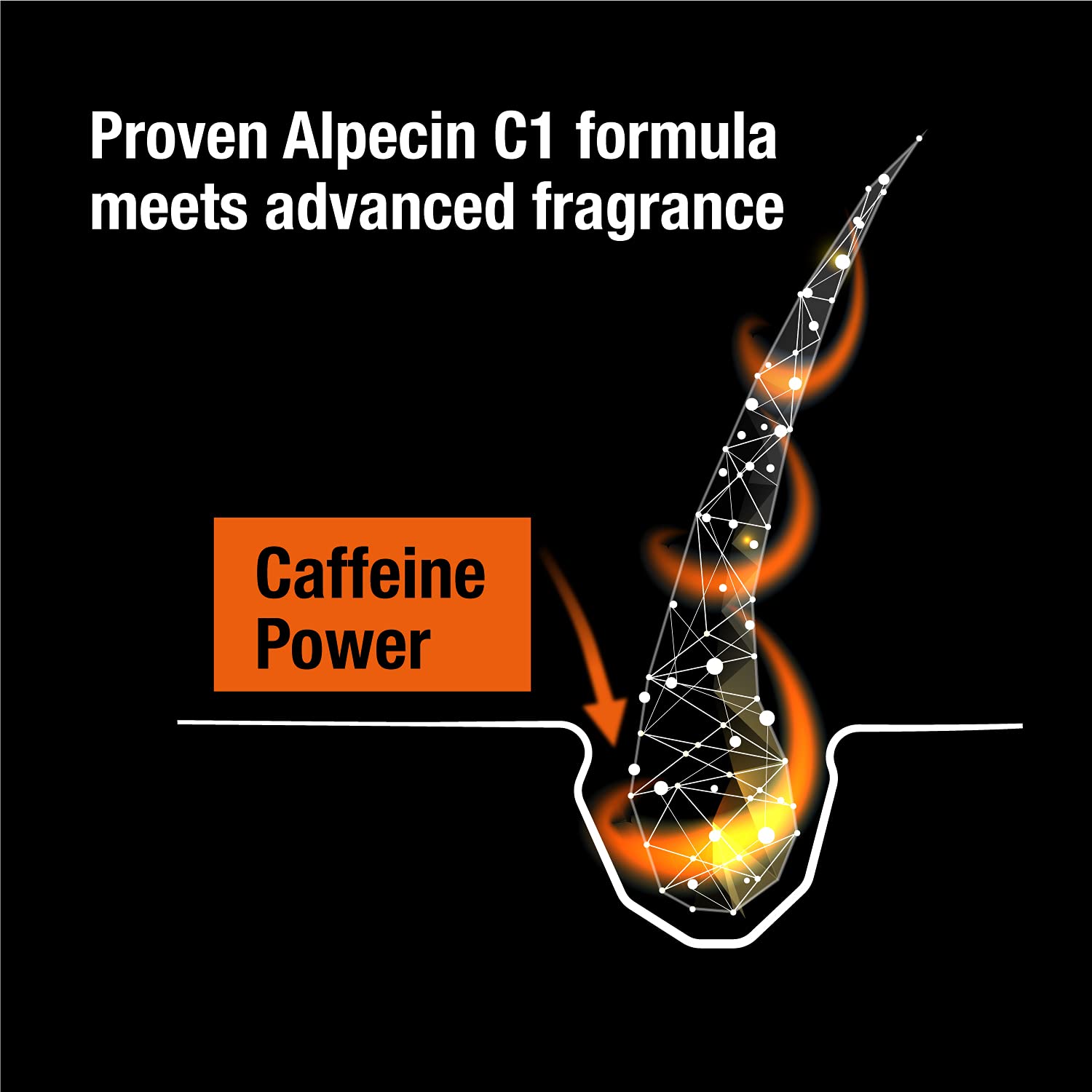 Alpecin C1 Black Edition bottle cap highlights premium fragrance and hair vitality.