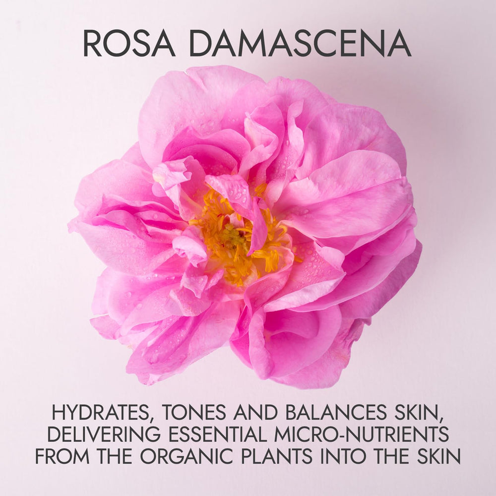 Alteya Organics Rosa Damascena petals showing single-ingredient distillate benefits