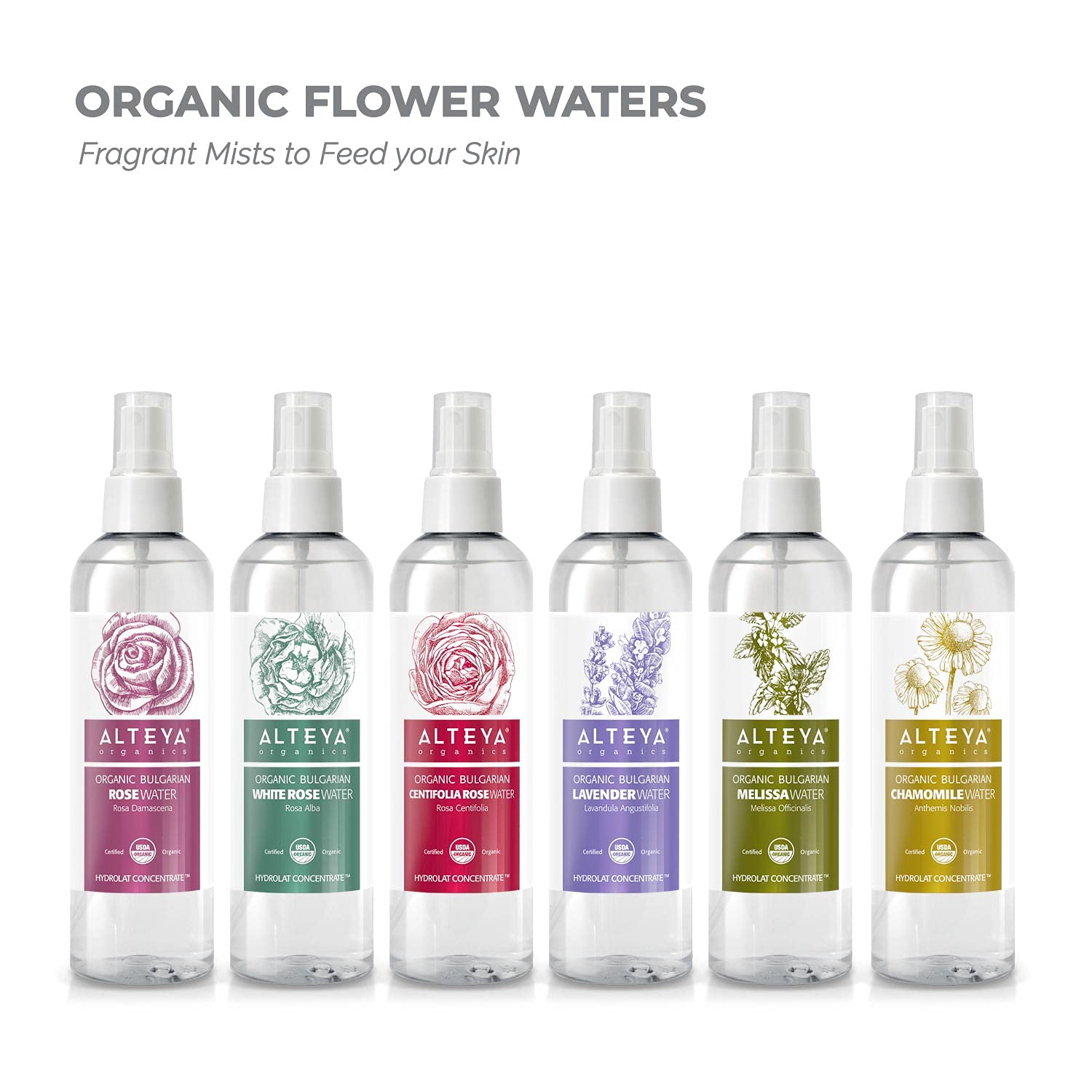Alteya Organics Rose Water toner-use shot for facial application.