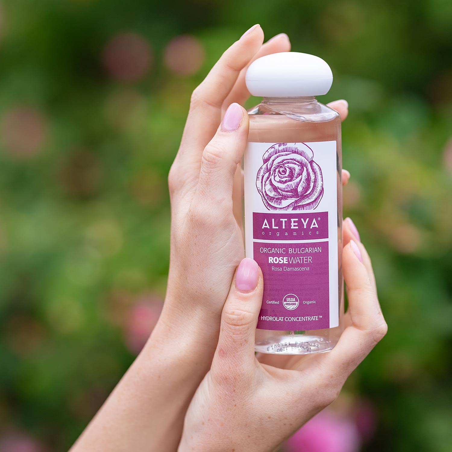 Alteya Rose Water toner application on skin demonstrates refreshing, non-greasy hydration.