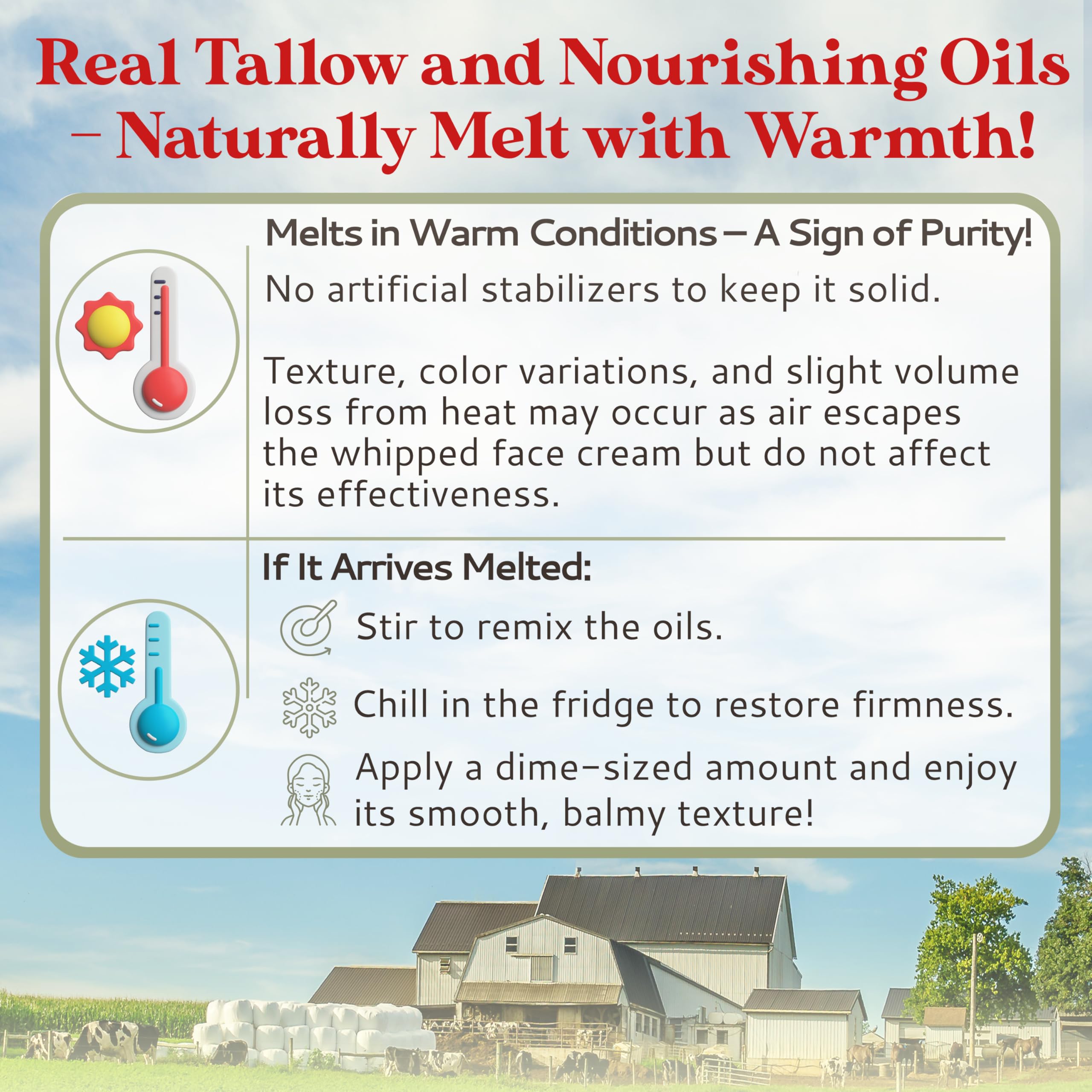 Amish Farms Face Cream in daily routine demonstrates easy morning or night use.