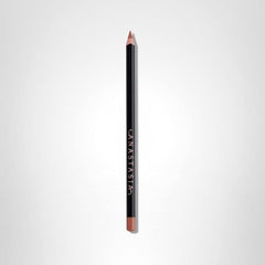 Anastasia Beverly Hills Lip Liner Deep Taupe swatch on lips showing matte finish and color payoff.