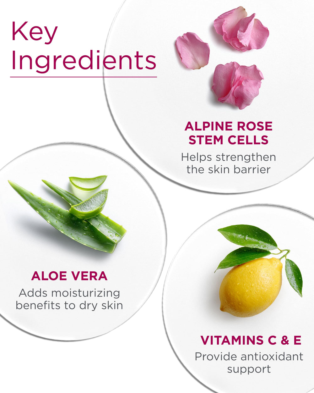 Andalou Naturals 1000 Roses SPF18 on skin demonstrates gentle hydrating sunscreen layer