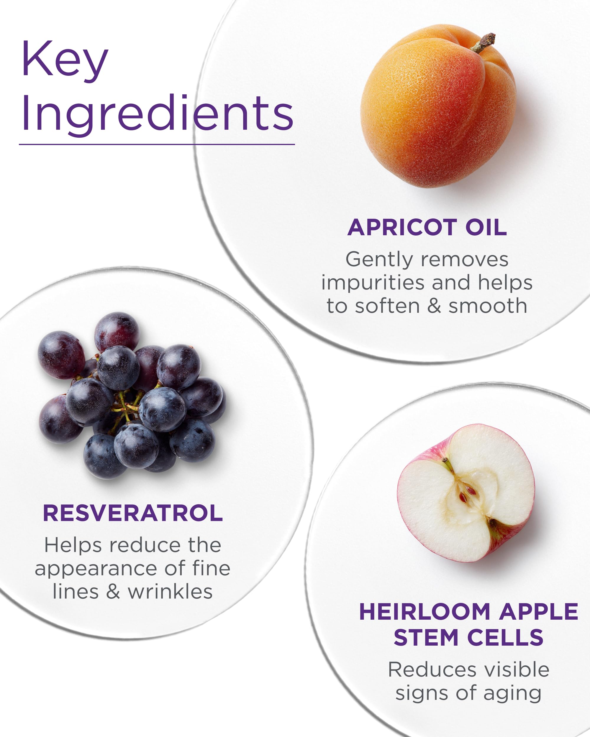 Andalou Naturals Aloe and Borage Oils visual emphasizes nourishing hydration for dry, dehydrated skin