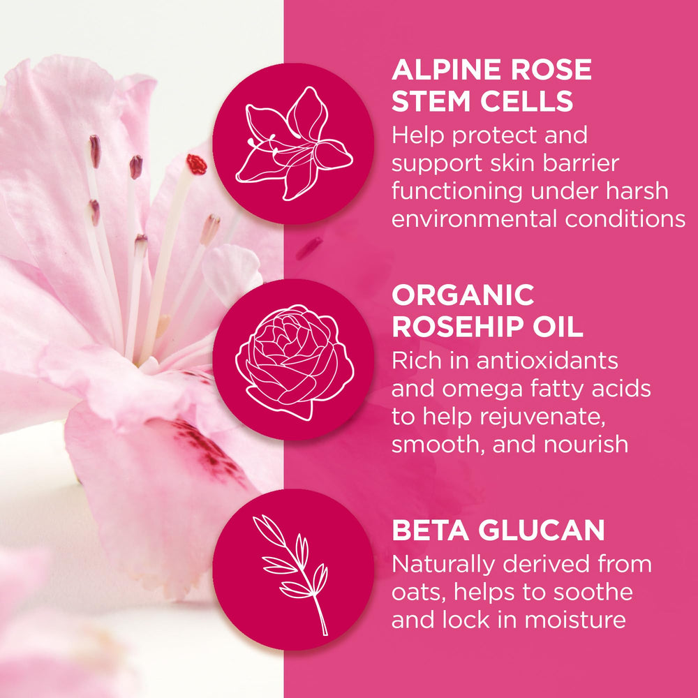 Andalou Naturals alpine rose stem cells illustration highlighting lip care