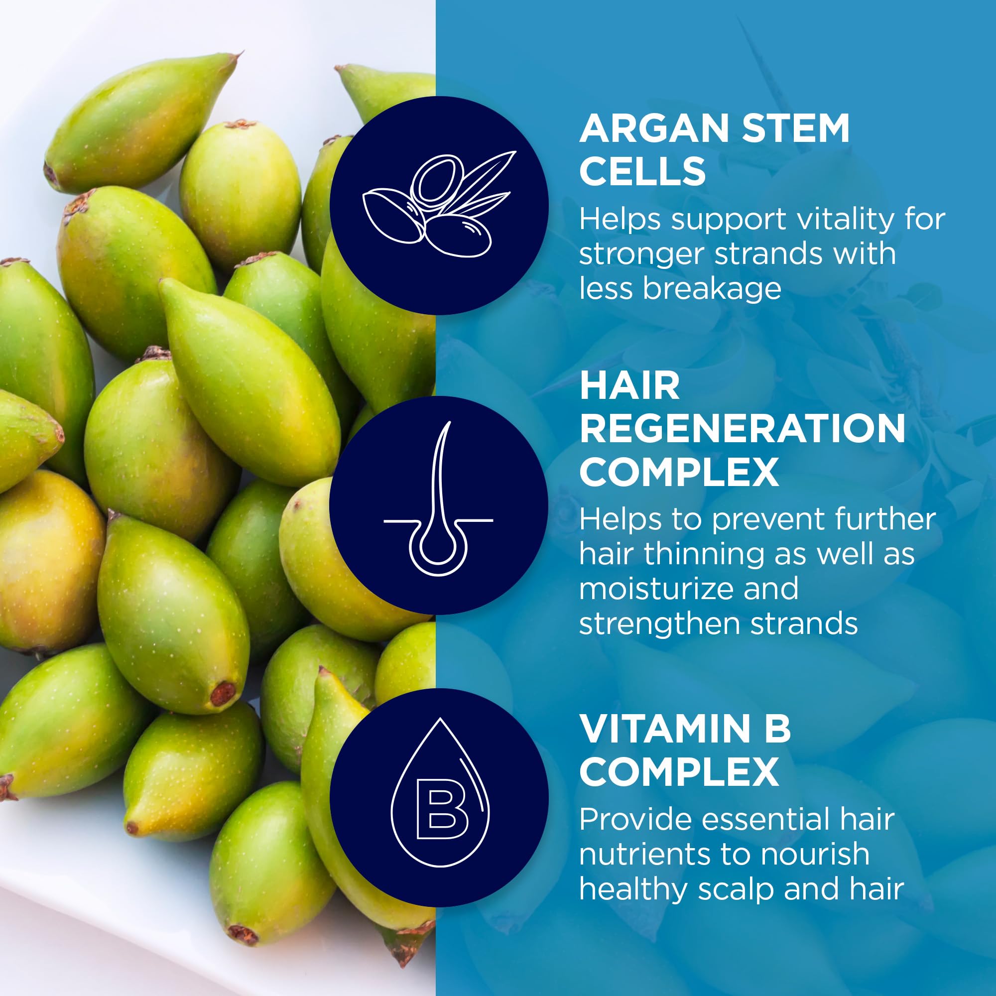 Andalou Naturals Argan Stem Cell Shampoo fruit stem cell science graphic highlights care.