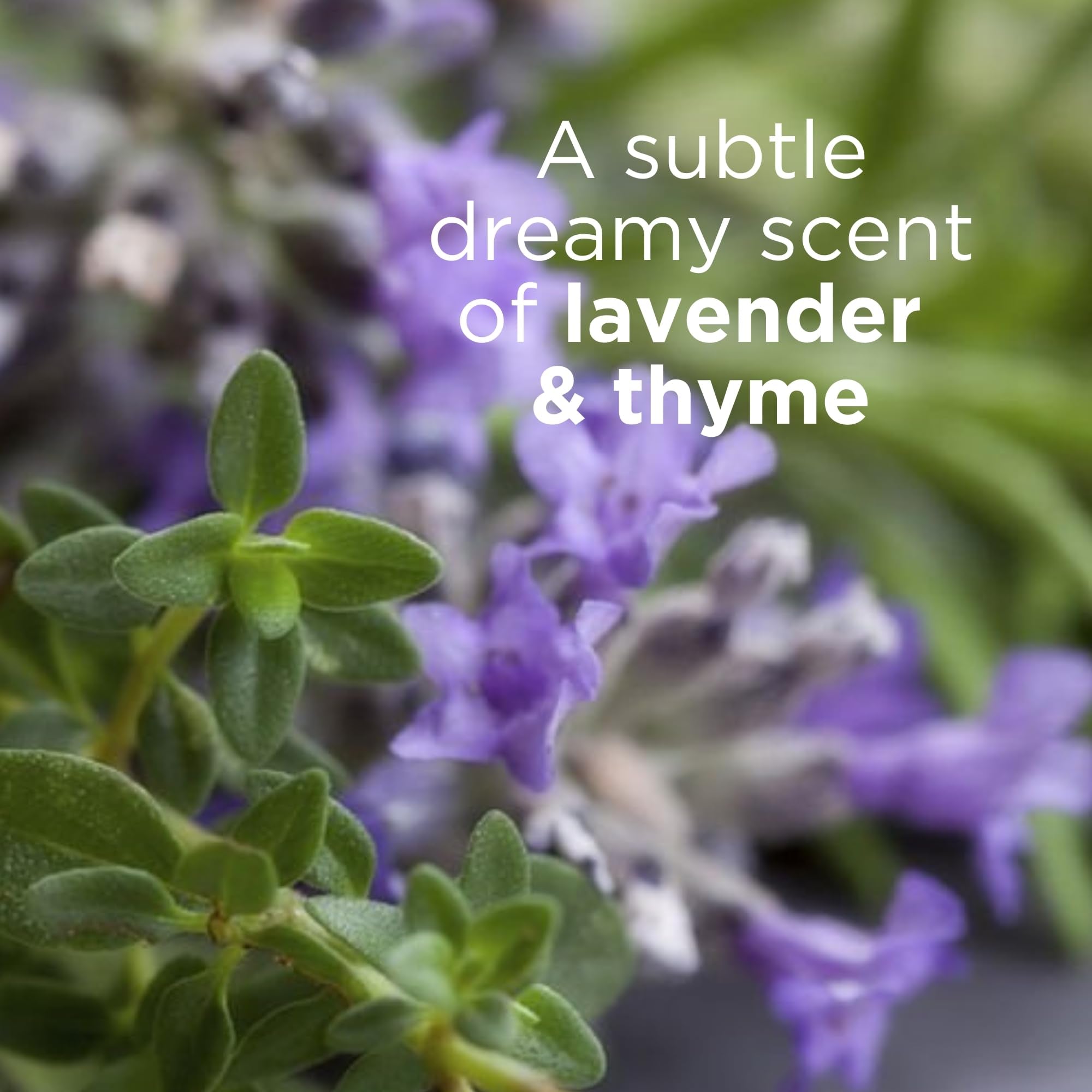 Andalou Naturals Lavender Thyme lotion with apricot oil nourishes skin.